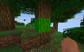 Fill Block Highlight Setting