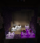 The Duality Geode