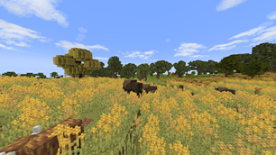 Pasture.png