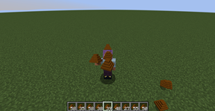 New texture and model for Poo.