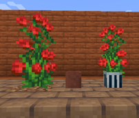 double_plants.png