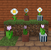 brighter_potted_plants.png