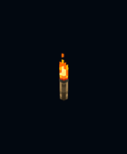 torch.gif