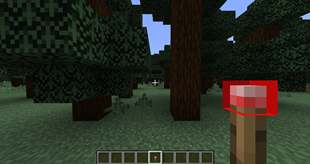 Redstone torch viewmodel.png