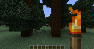 Torch viewmodel.png