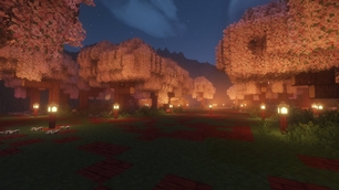 Field of Hopes and Dreams.jpg