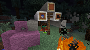 Camping