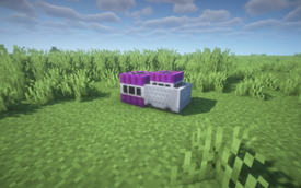 Purple TNT
