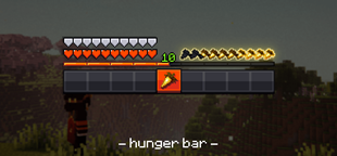 hunger bar