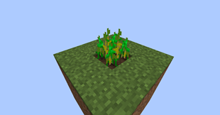 Random crops