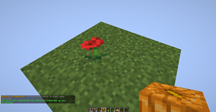 Random flowers