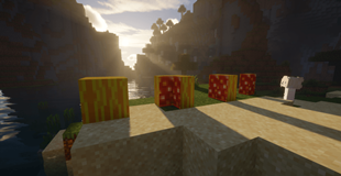 Glistering melon