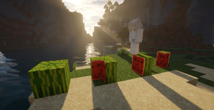 Melon
