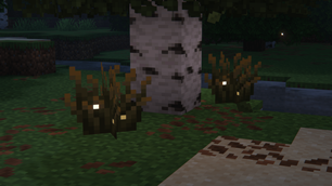 Firefly Bushes