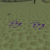 AME.png