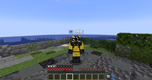 ARMOR 1