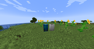 Shells.png