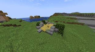 A small field
