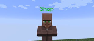 The Shop