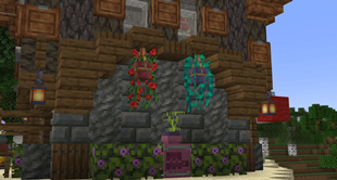 image-2.png