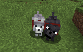 New wolfs
