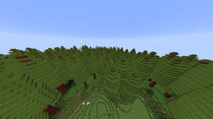 Redwood Forest Top View