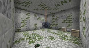 Dungeon with skeleton spawner