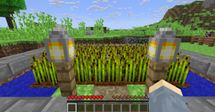 Screenshot 2025-08-30 174027.png