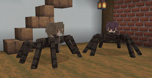 Cute Waifu Spider Husbando