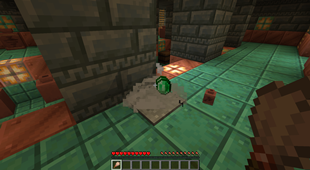 Player broke the decorative pot