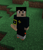 Modpack_Bandage.png