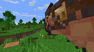Hey look, its everyones favourite pet triceratops, Leafy!