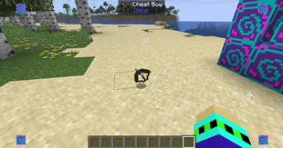 Cheat Bow.png