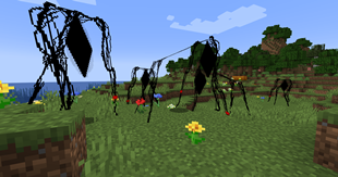 The field
