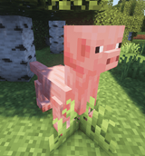 Pig(Brachiosaurus)