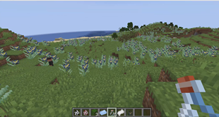 Iris field