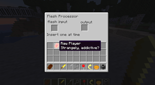 Flesh Processor GUI
