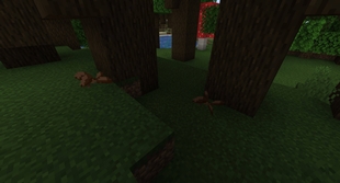truffle.jpg