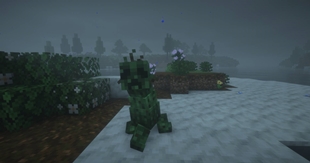 A lone creeper on a misty island...