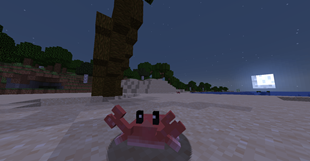 Crab