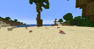 Crabs