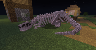 SCP-250 during the night