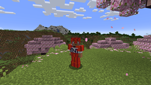 tnt.png