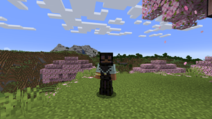 wither_skeleton.png