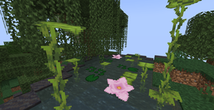 Lush Swamp