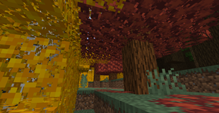 Autumn Forest