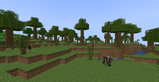 Sparse Forest