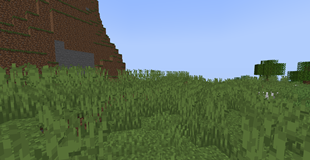 Grassland