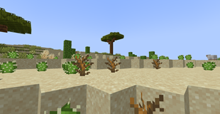 Lush Desert