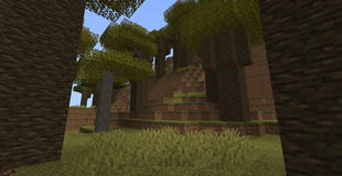 Baobab Savanna
